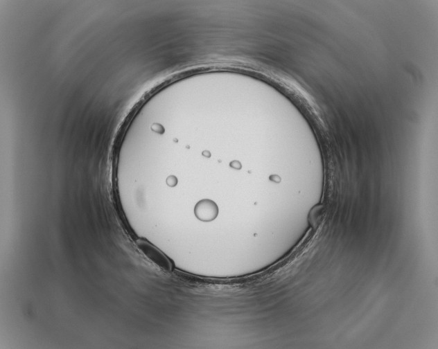 X0000113031280200909241406