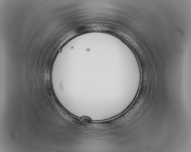 X0000113031281200909241406