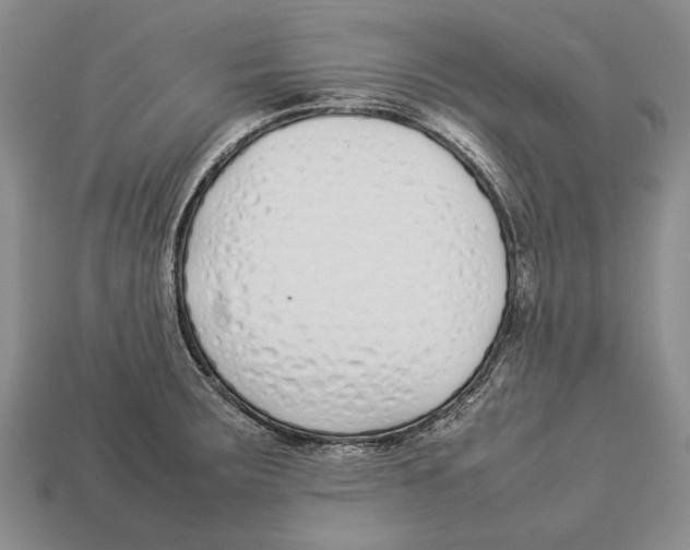 X0000113031283200909241405