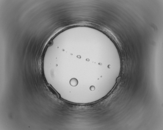 X0000113031284200909241405