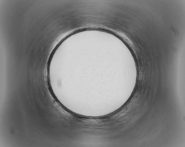 X0000113031287200909241405