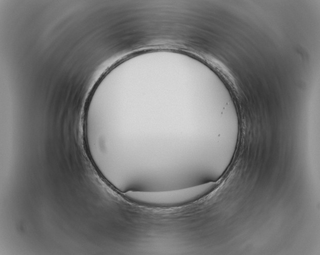 X0000113031288200909241405