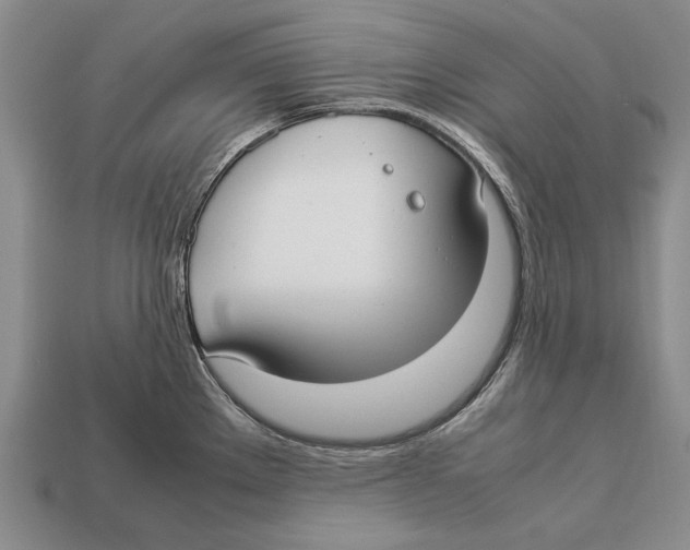 X0000113031289200909241405