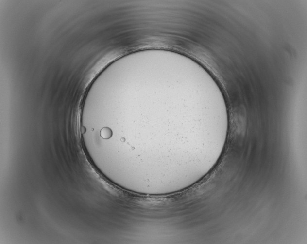 X0000113031290200909241405