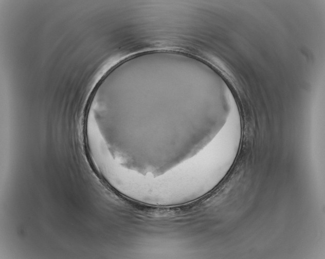 X0000113031291200909241405