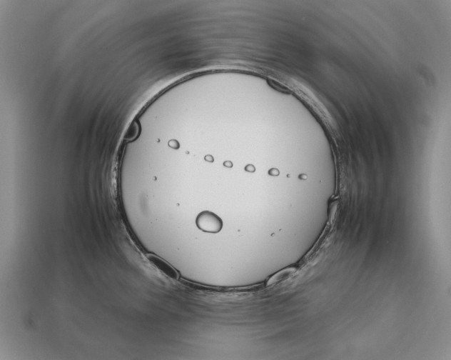 X0000113031292200909241405