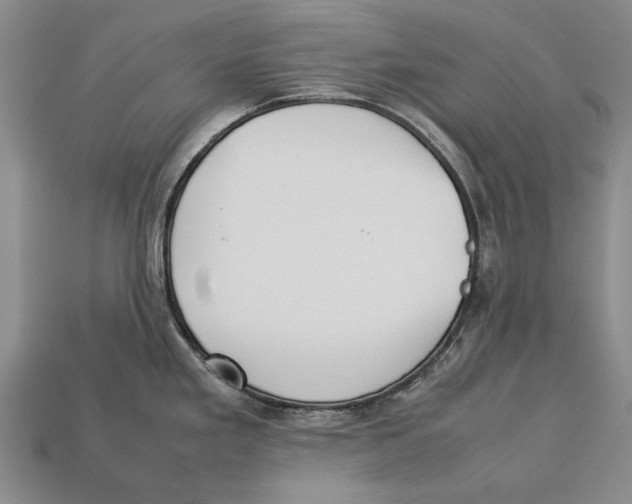 X0000113031293200909241405