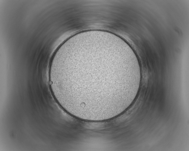 X0000113031294200909241405