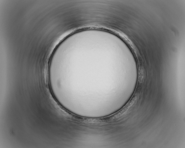 X0000113031295200909241405