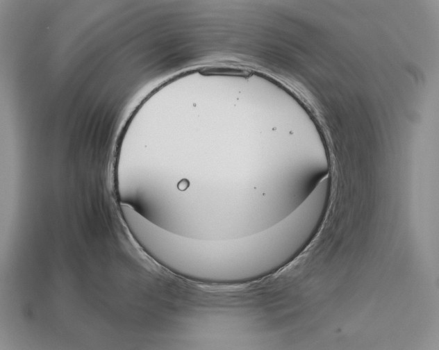 X0000113031296200909241405