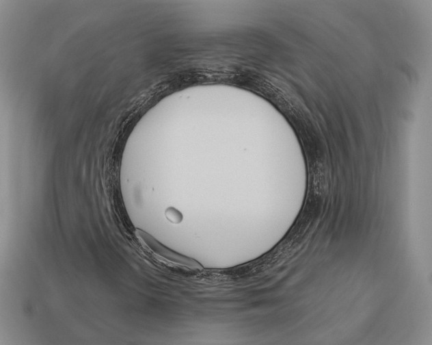 X0000113031298200909241405