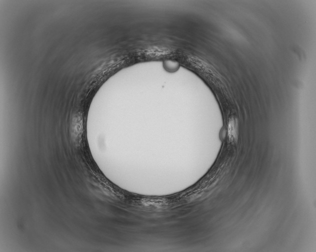 X0000113031299200909241405