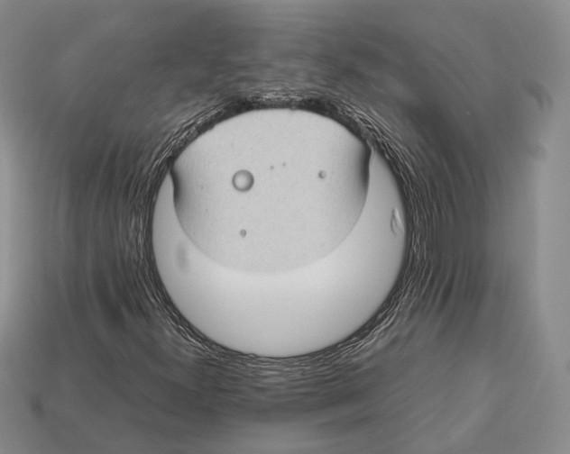 X0000113031300200909241405