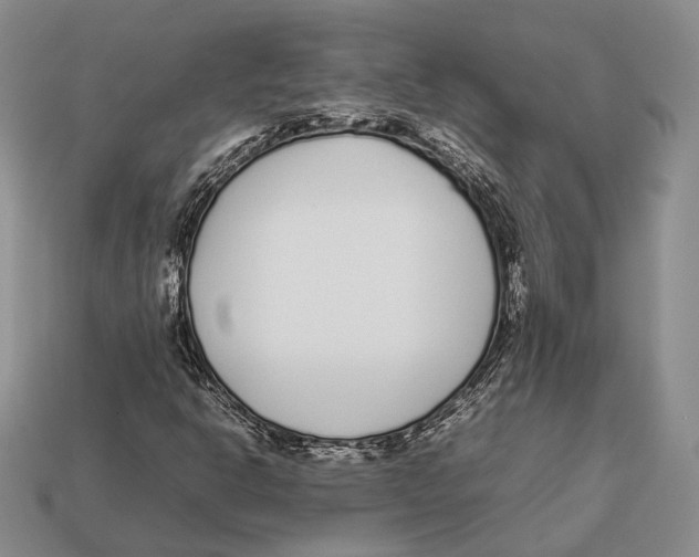 X0000113031302200909241405