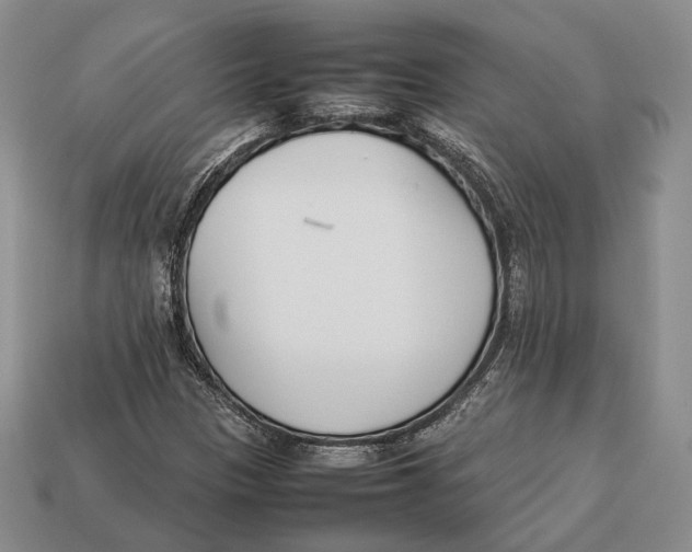 X0000113031305200909241405