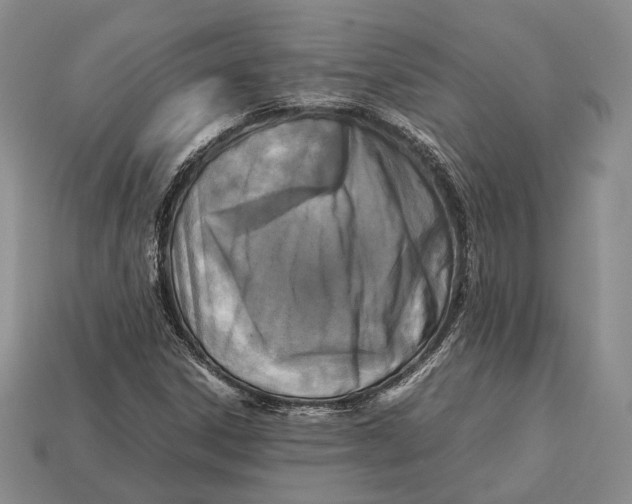 X0000113031306200909241405