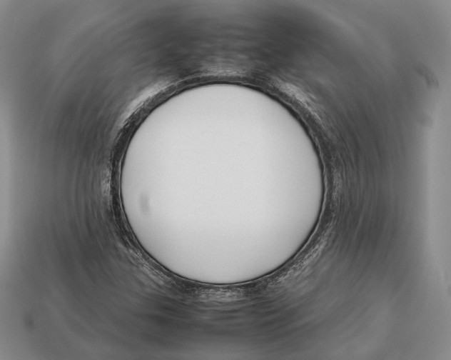 X0000113031307200909241405