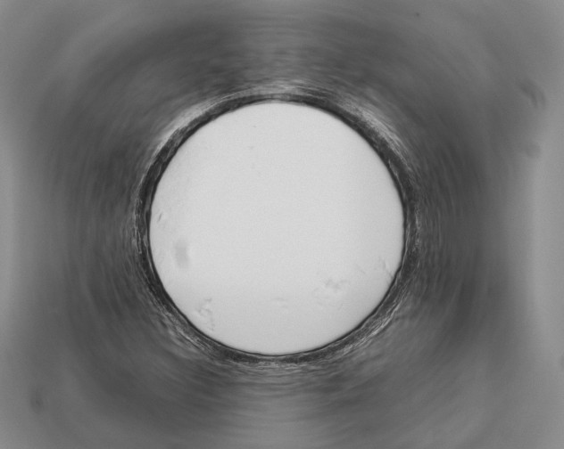 X0000113031308200909241405