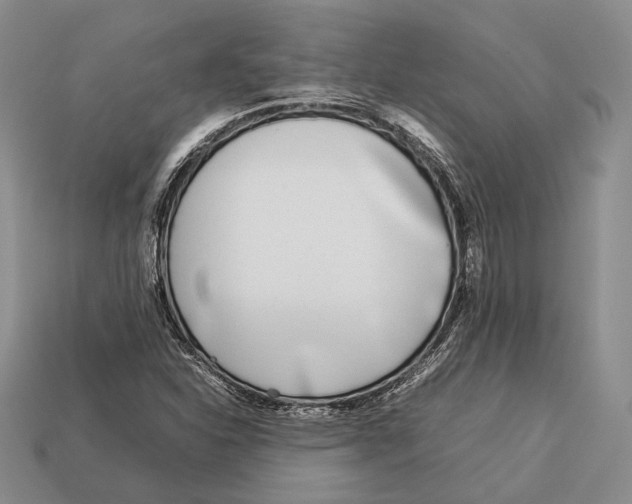 X0000113031310200909241405