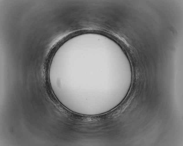 X0000113031311200909241405