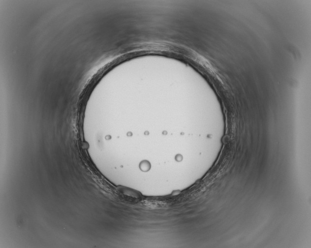 X0000113031312200909241405