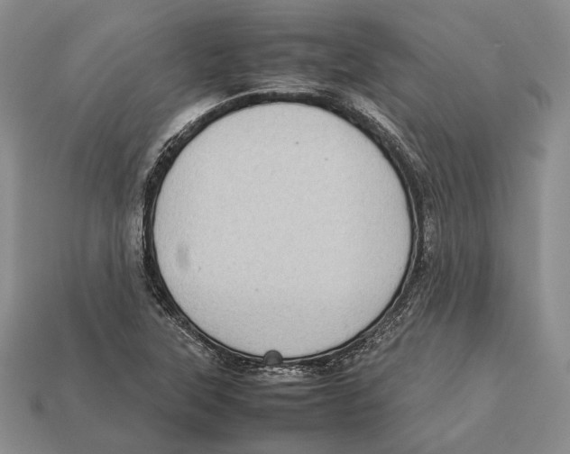 X0000113031315200909241405