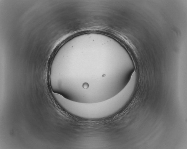 X0000113031316200909241405