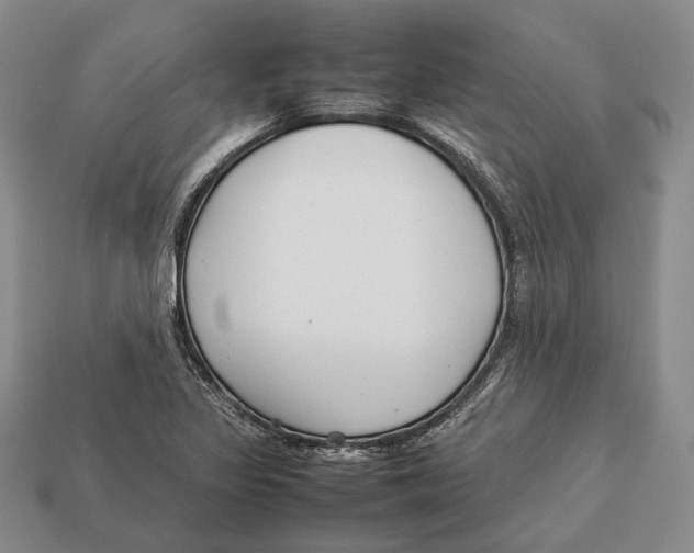 X0000113031317200909241405