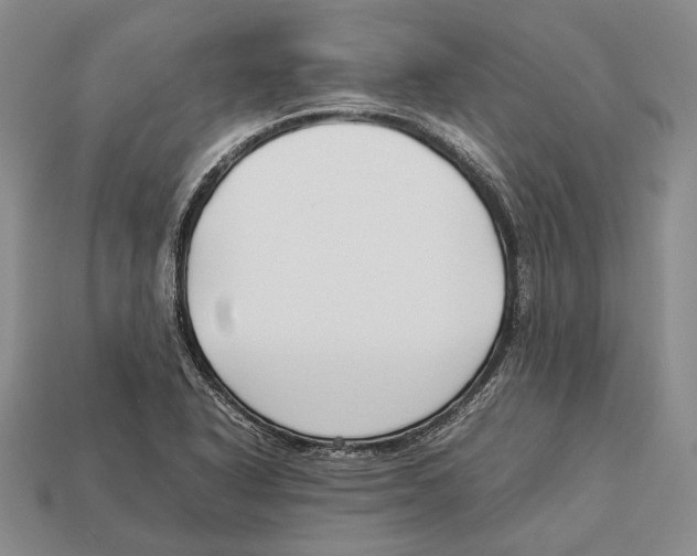 X0000113031318200909241405