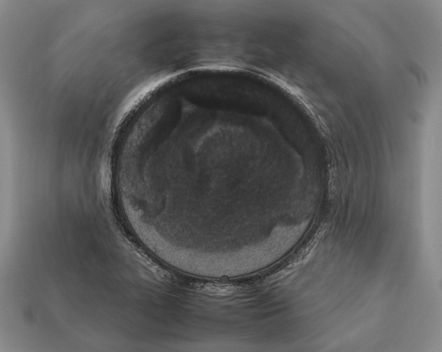 X0000113031319200909241405