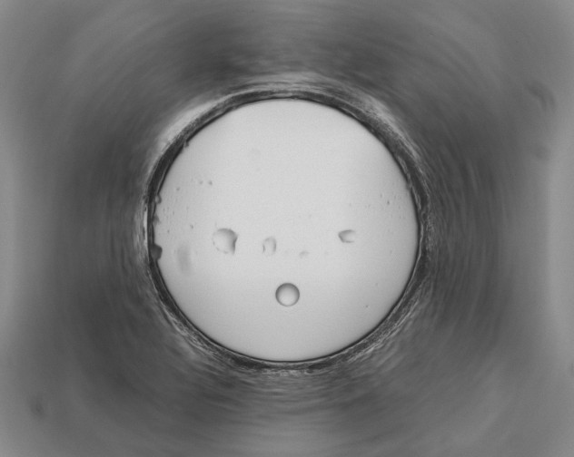 X0000113031320200909241405