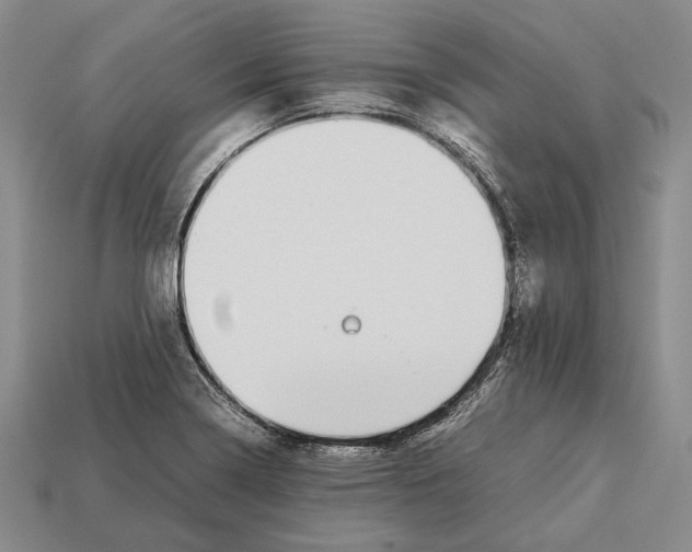 X0000113031322200909241405