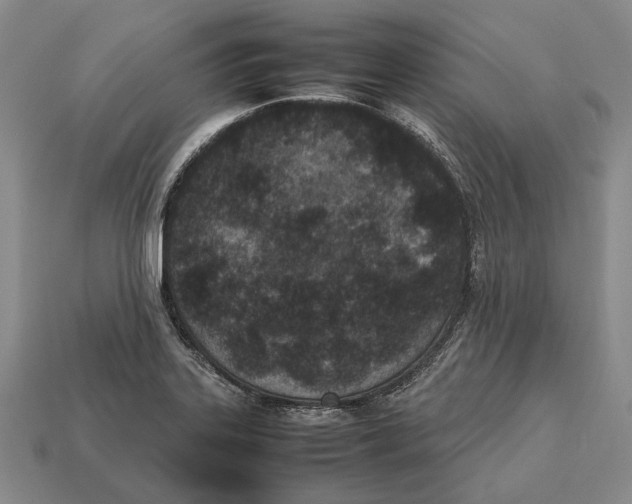 X0000113031323200909241405