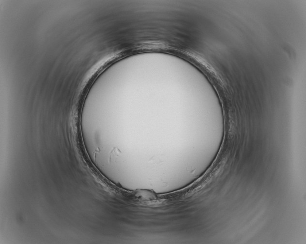 X0000113031325200909241405