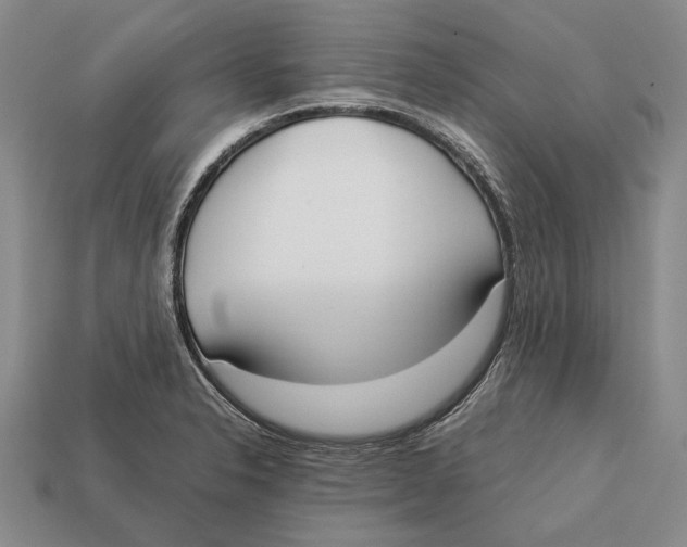 X0000113031326200909241405