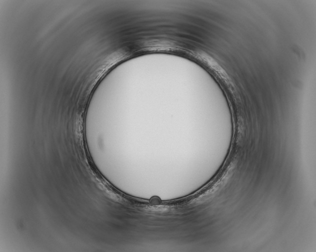 X0000113031329200909241405