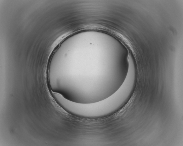 X0000113031330200909241405