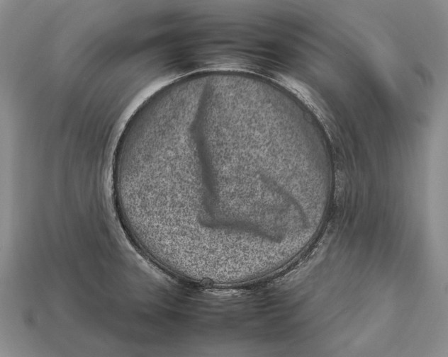 X0000113031331200909241405