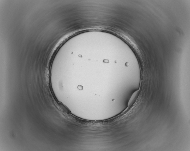 X0000113031332200909241405