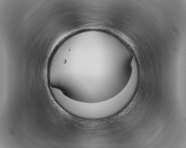 X0000113031334200909241405