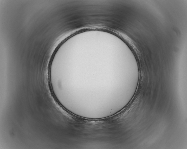 X0000113031335200909241405