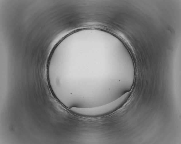 X0000113031336200909241405