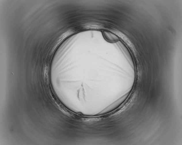 X0000113031337200909241405