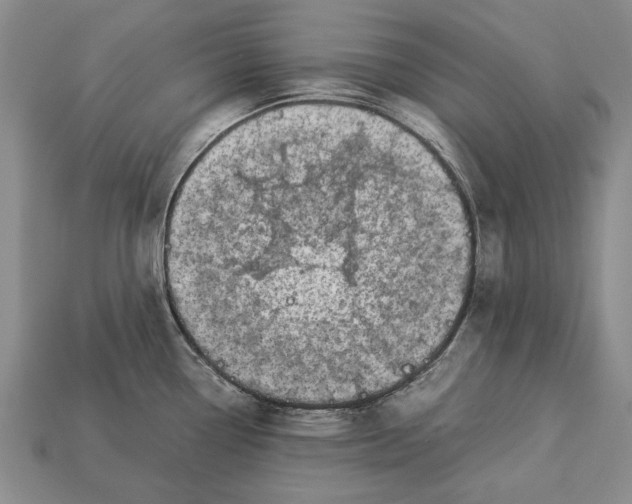 X0000113031338200909241405