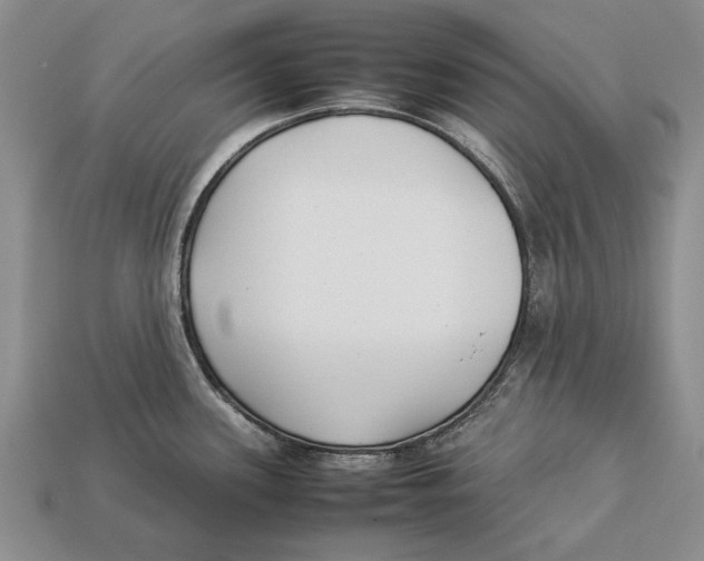 X0000113031339200909241405