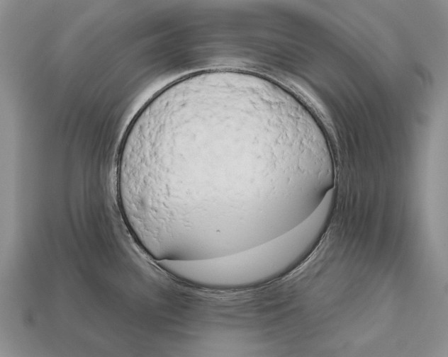 X0000113031340200909241405