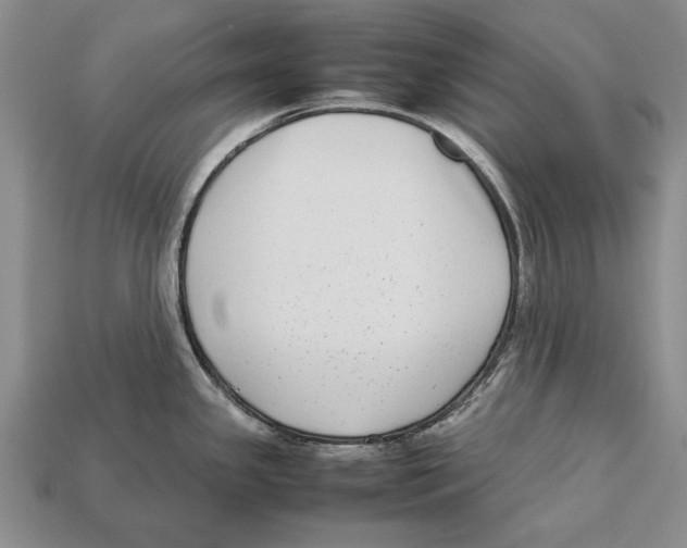 X0000113031341200909241405