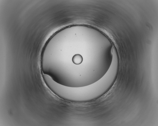 X0000113031342200909241405