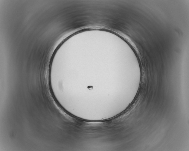 X0000113031343200909241405