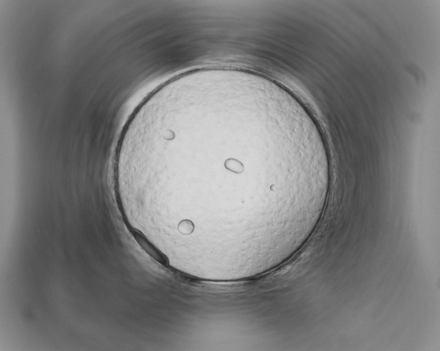 X0000113031344200909241405